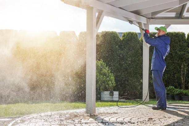 Best Warehouse Cleaning  in Stockton, IL