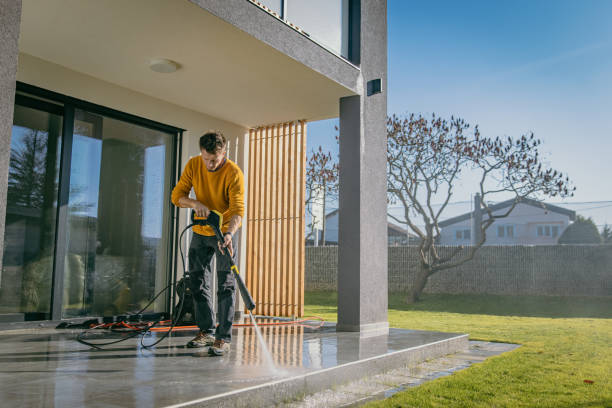 Best Fence Cleaning  in Stockton, IL