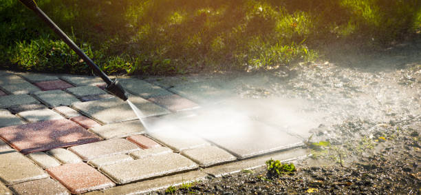Best Soft Washing  in Stockton, IL